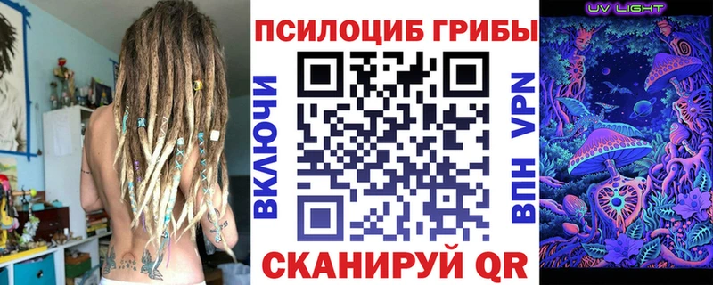 KRAKEN вход  Власиха  Псилоцибиновые грибы Cubensis 